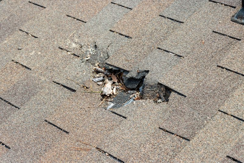 Roofing Shingle Repair